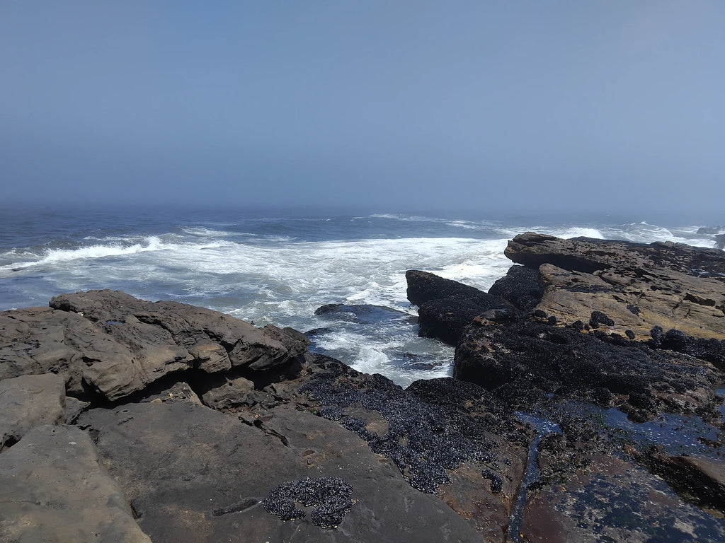 Lambert’s Bay Bird Island Nature Reserve, Lambert's Bay South Africa