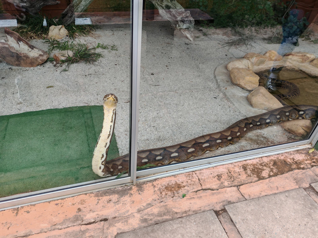 Lawnwood Snake Sanctuary, Plettenberg Bay South Africa