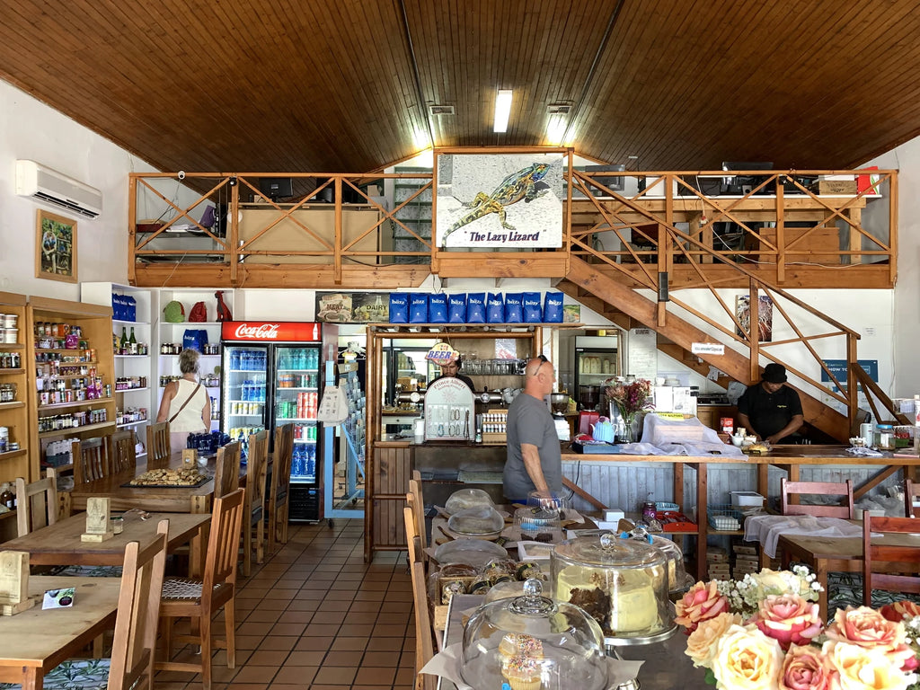 Lazy Lizard, Prince Albert South Africa