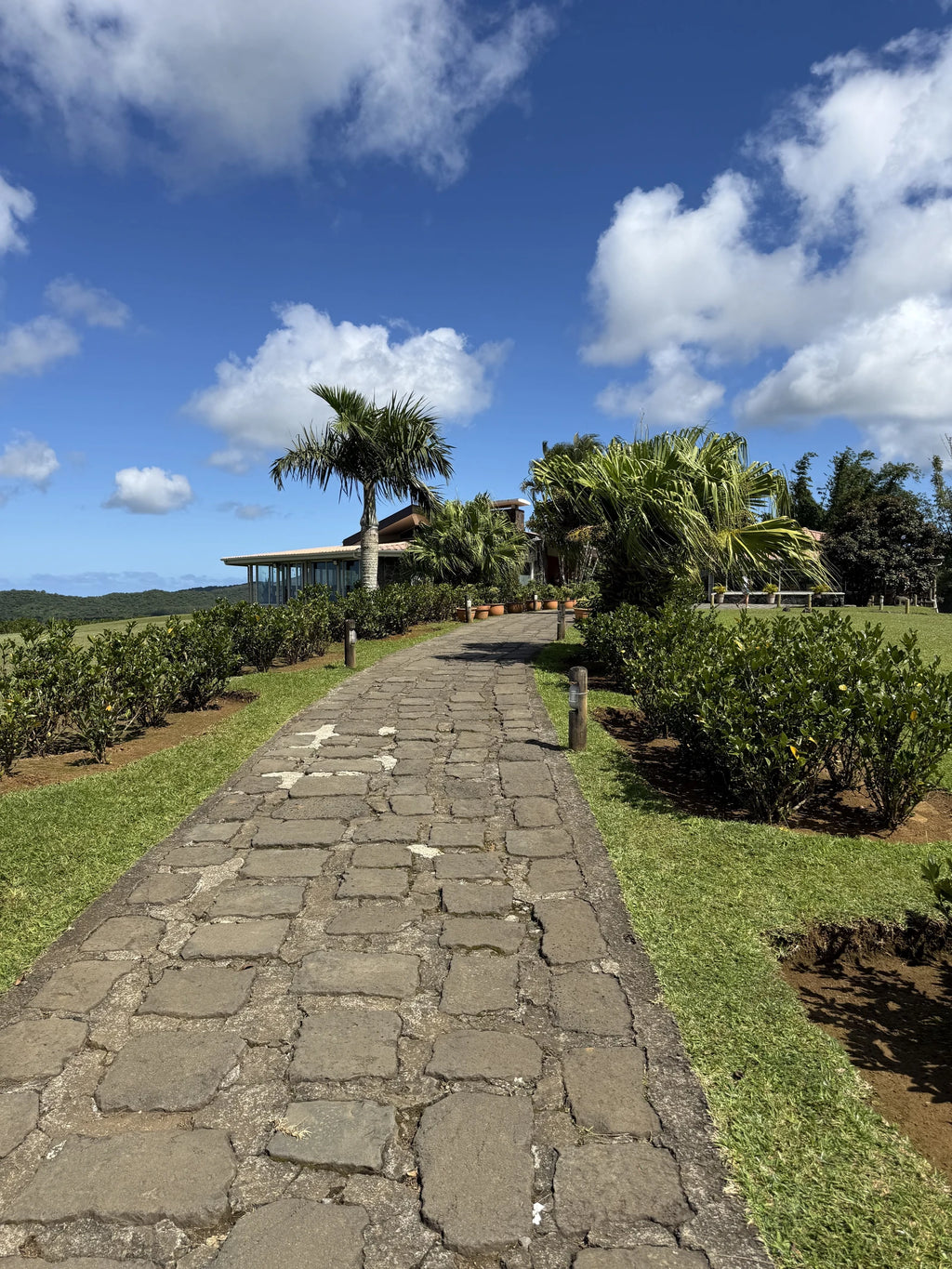 Le Bois Cheri Restaurant, Bois Cheri Mauritius