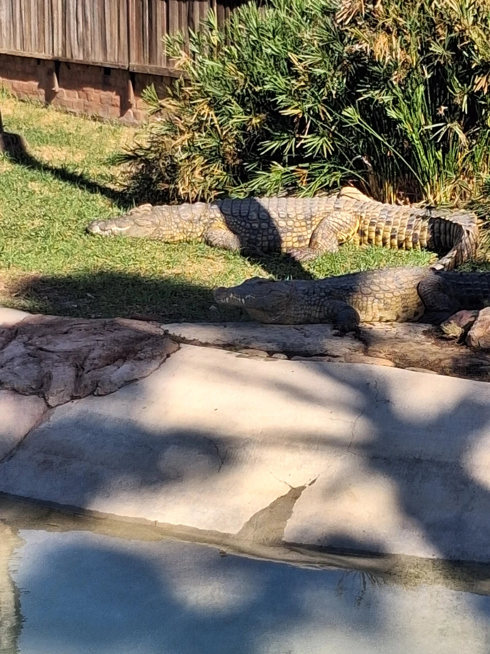 Le Bonheur Reptiles and Adventures, Simondium South Africa