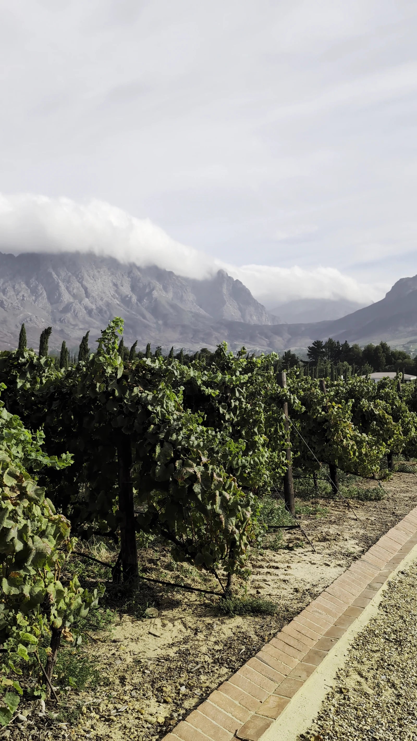 Le Lude Estate and Orangerie Restaurant, Franschhoek South Africa