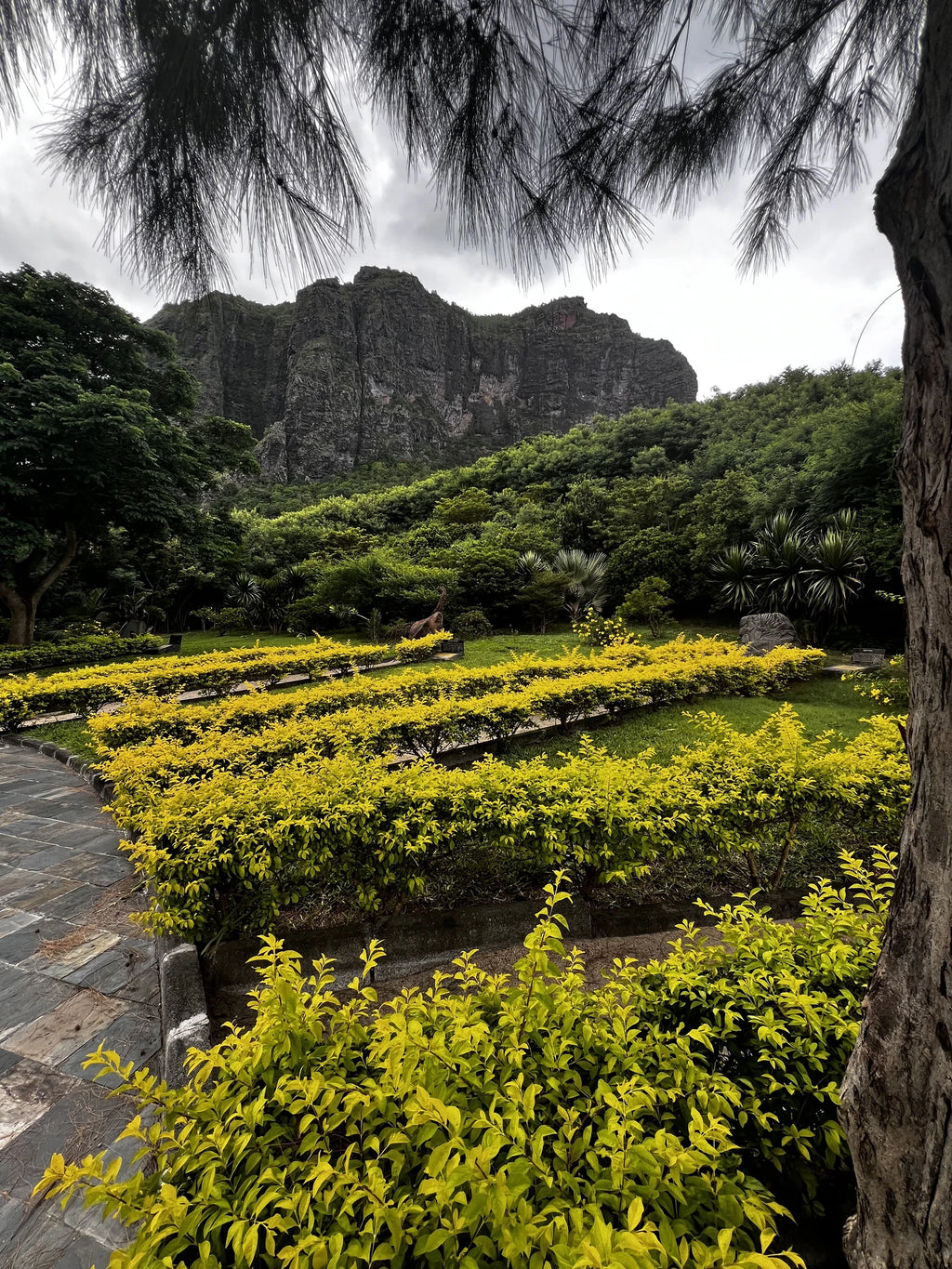 Le Morne World Heritage Site, 
G8X7+5PR Mauritius