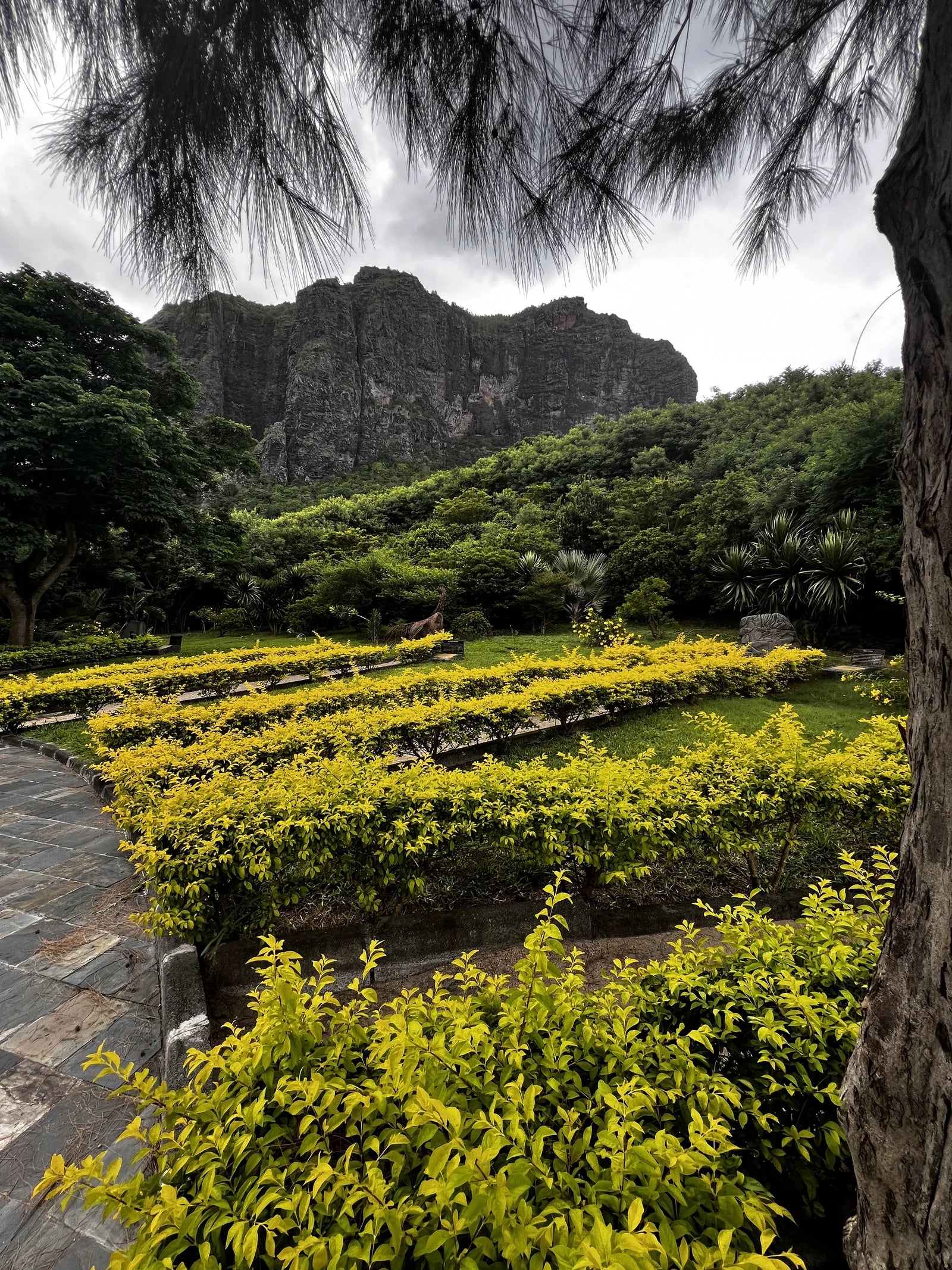 Le Morne World Heritage Site, 
G8X7+5PR Mauritius