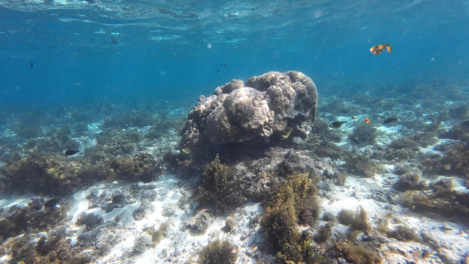 Le Morne World Heritage Site, 
G8X7+5PR Mauritius