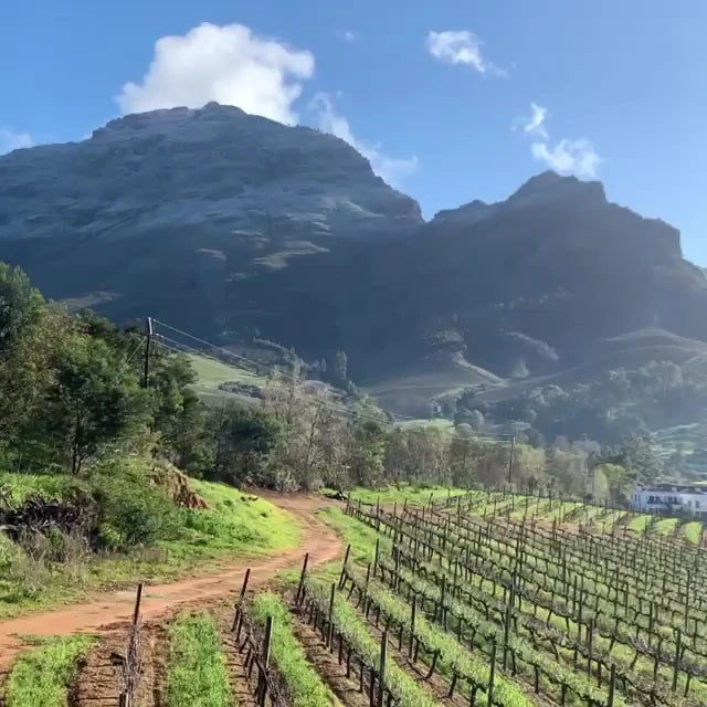 Le Pommier Wine Estate, Stellenbosch South Africa