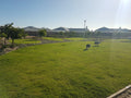 Leadville Dog Park, Cape Town South Africa