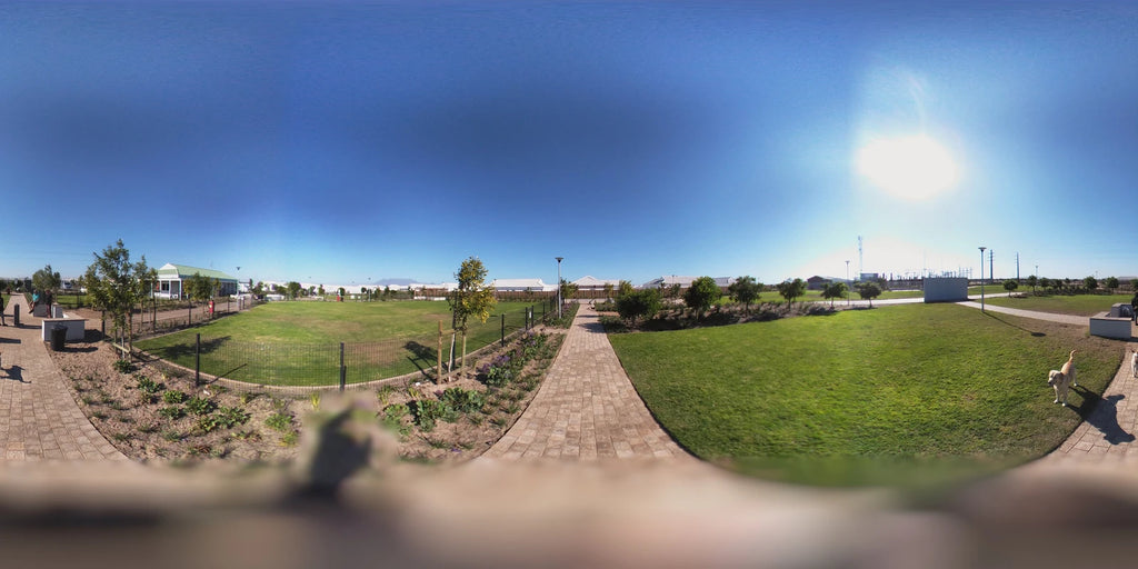 Leadville Dog Park, Cape Town South Africa