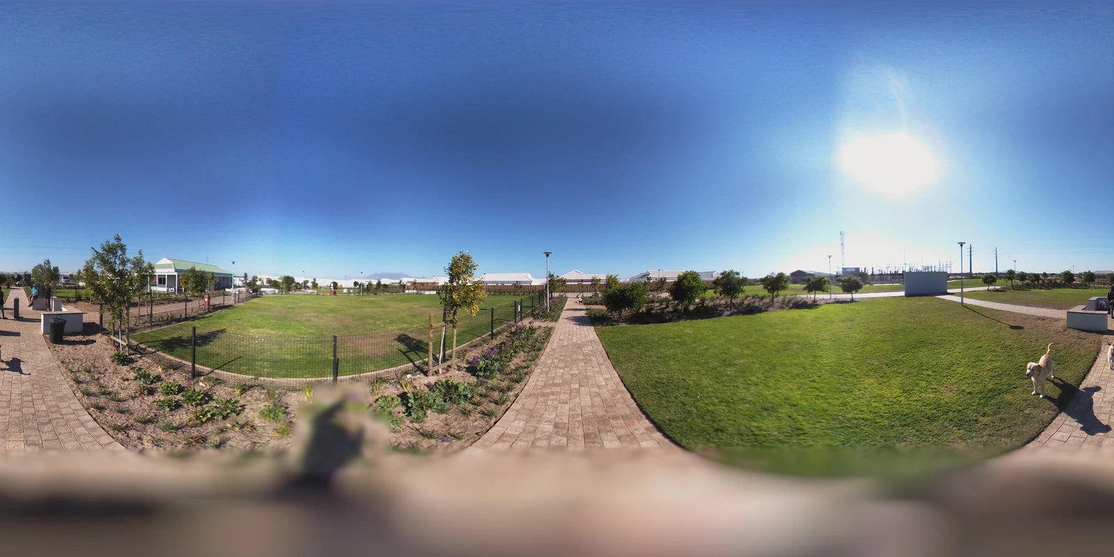 Leadville Dog Park, Cape Town South Africa