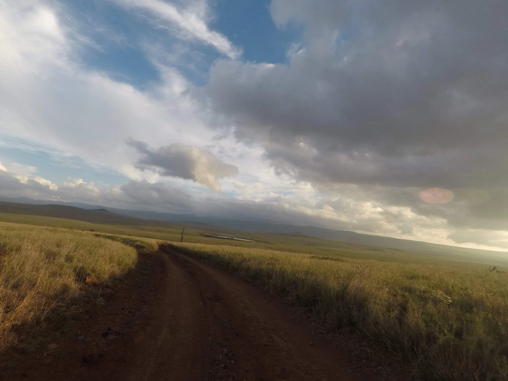 Lewa Wildlife Conservancy, 
Isiolo Kenya