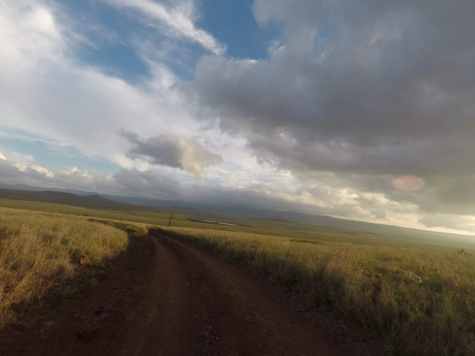 Lewa Wildlife Conservancy, 
Isiolo Kenya