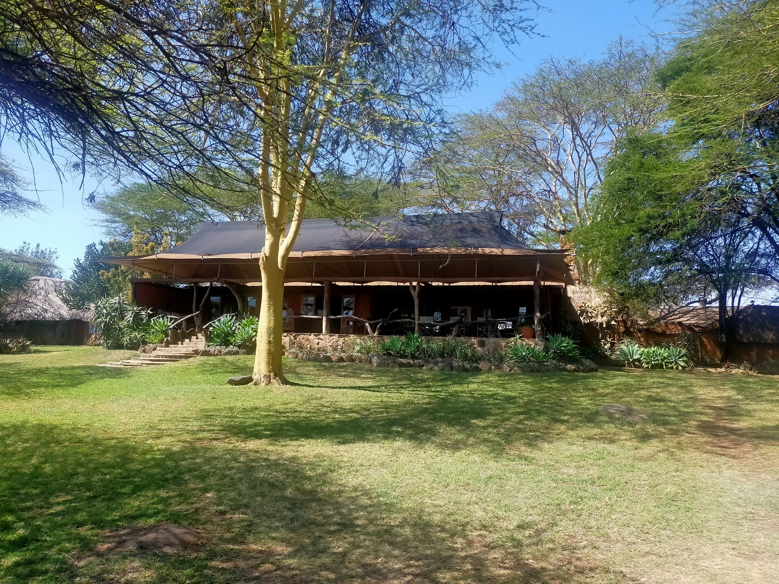 Lewa Wildlife Conservancy, 
Isiolo Kenya