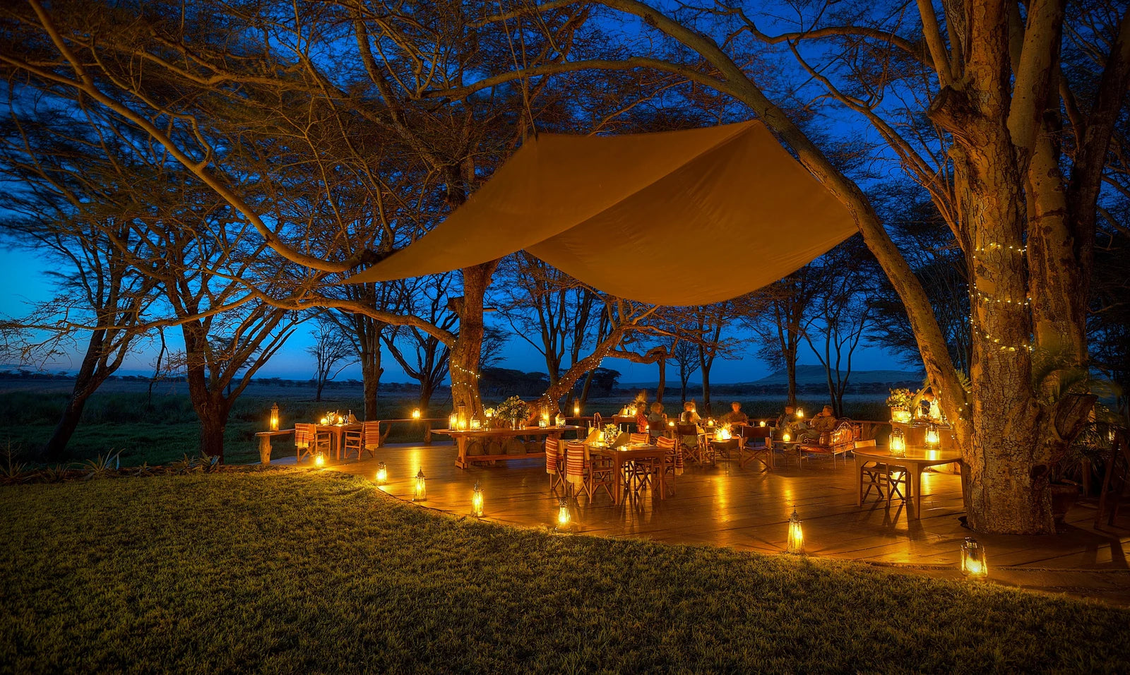 Lewa Wildlife Conservancy, 
Isiolo Kenya