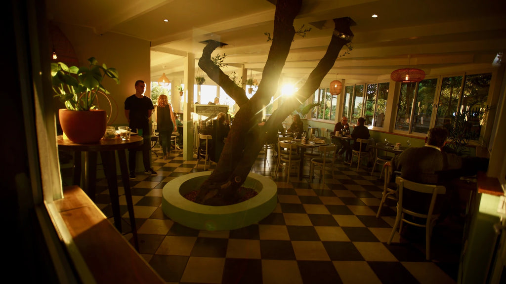 Limoncello Ristorante, Cape Town South Africa
