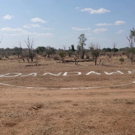 Lion & Cheetah Park, Somerby Zimbabwe