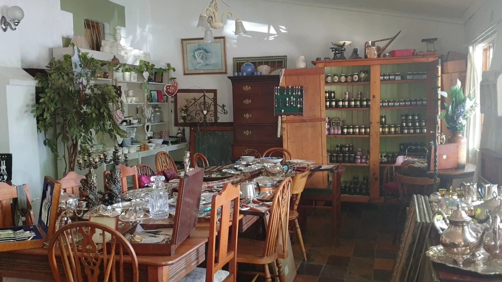 Little Church Tea Garden, Van Reenen South Africa