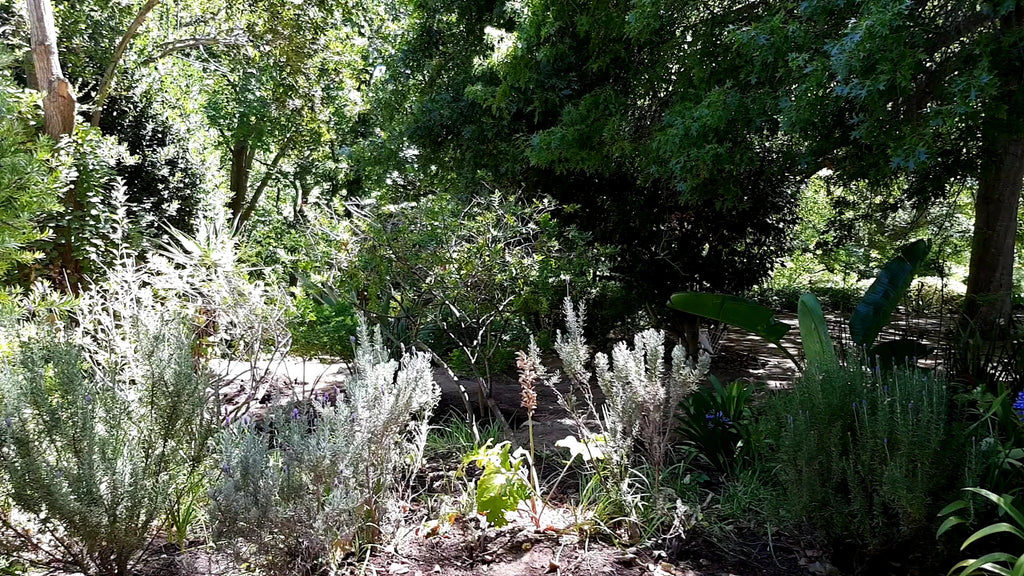 Little Stream Conference Centre & Tea Garden, Cape Town South Africa