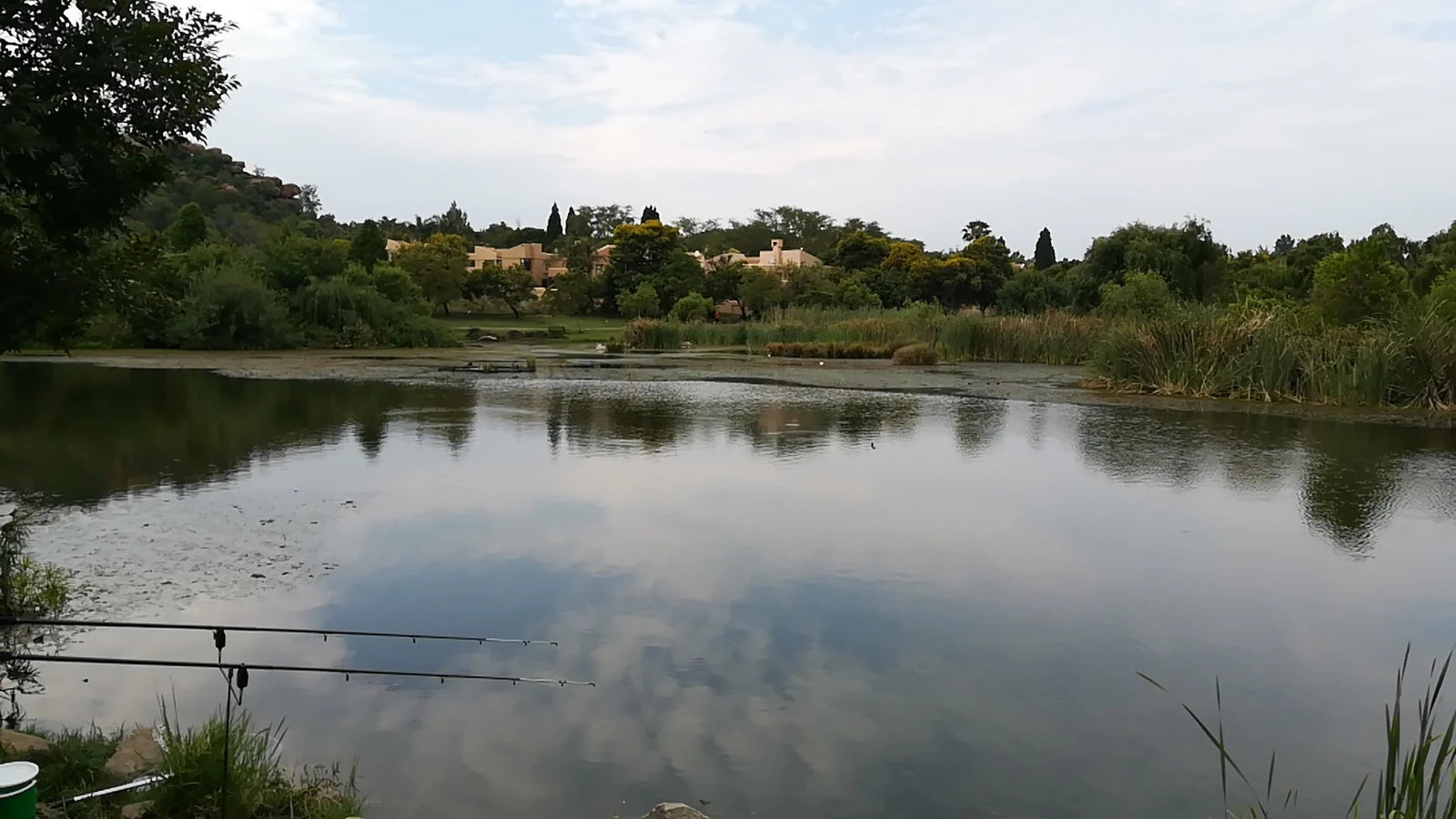 Lone Hill Nature Reserve, Sandton South Africa