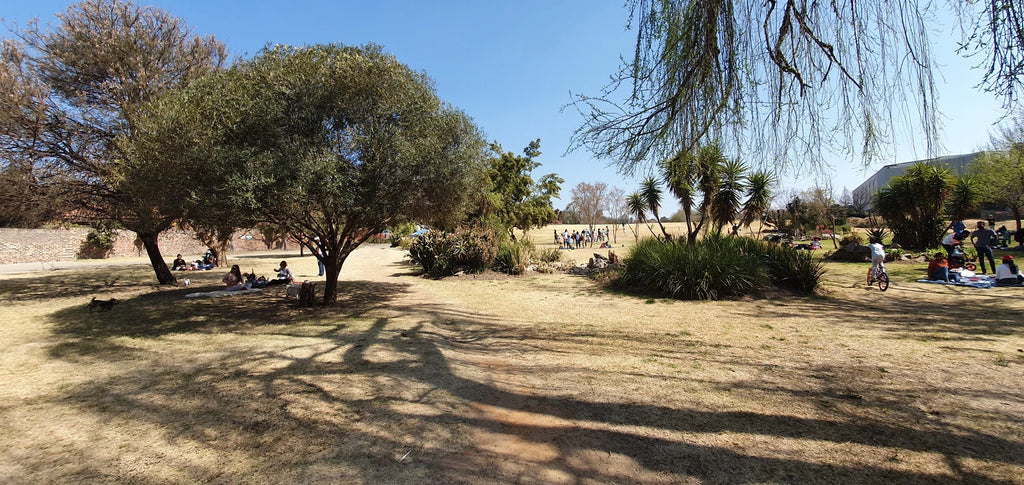 Lone Hill Nature Reserve, Sandton South Africa