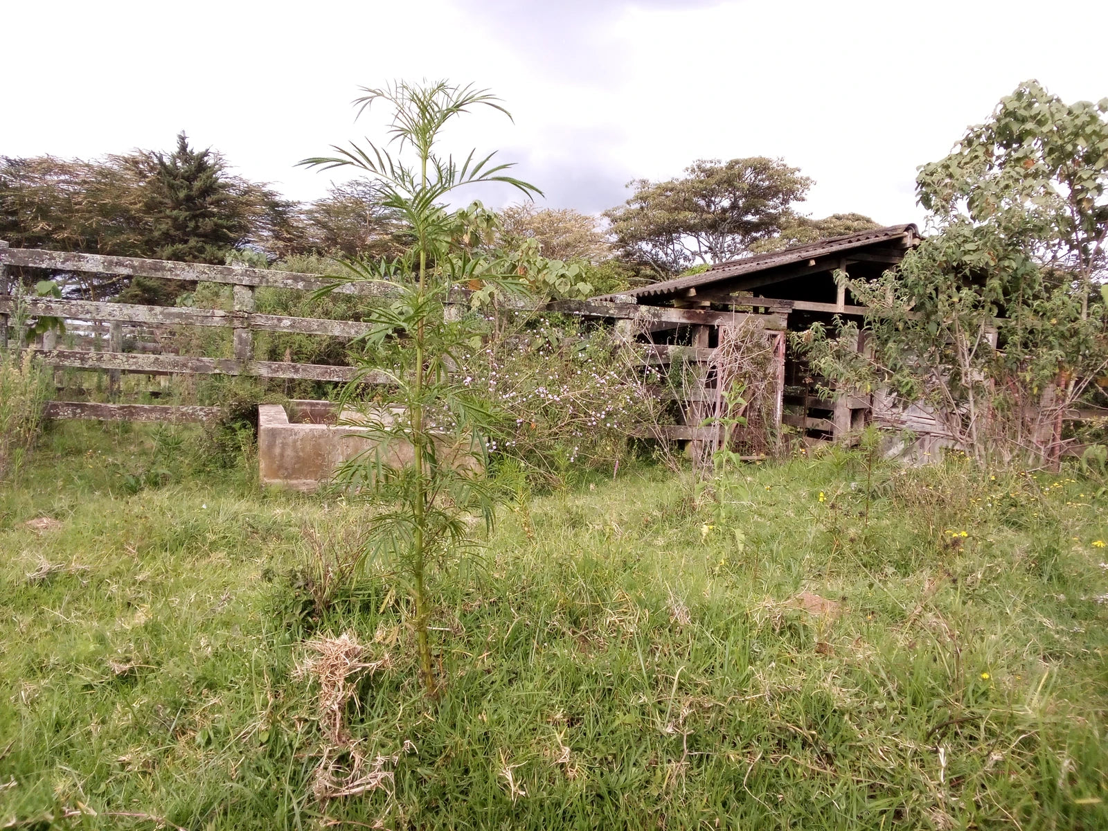 Lord Egerton Castle, Nakuru Kenya