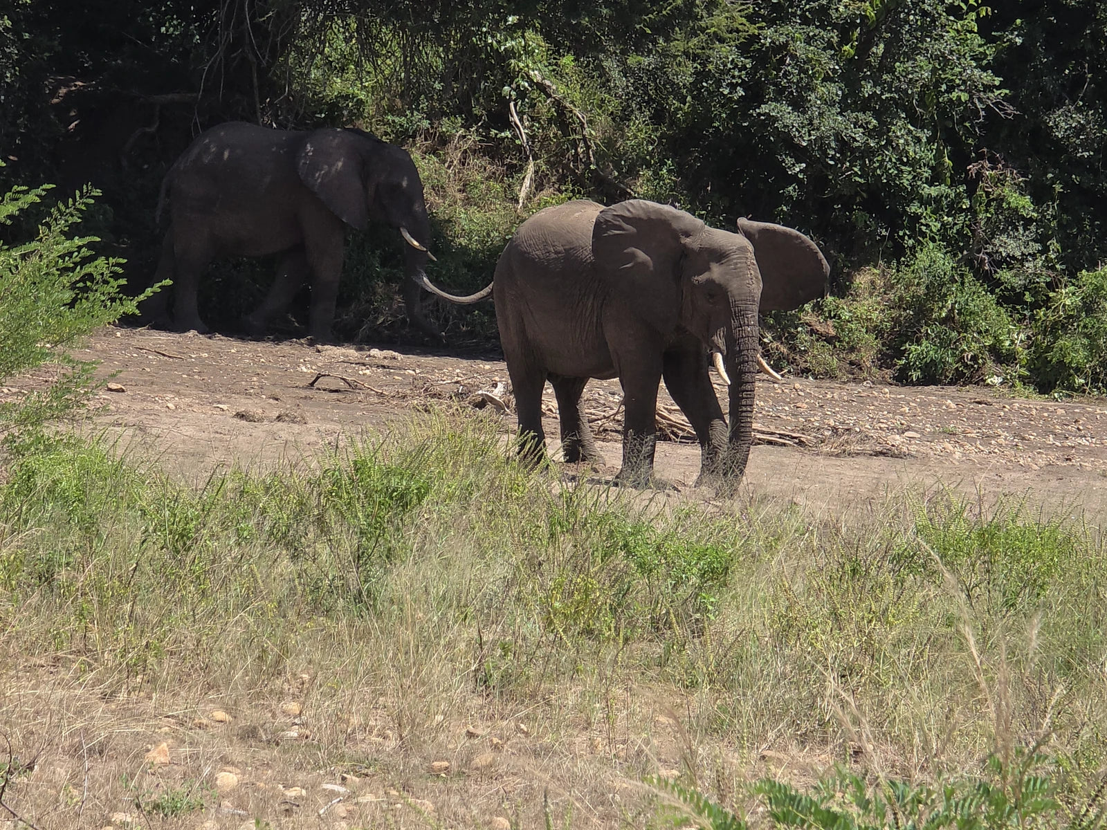 Lower Zambezi National Park,  Zambia