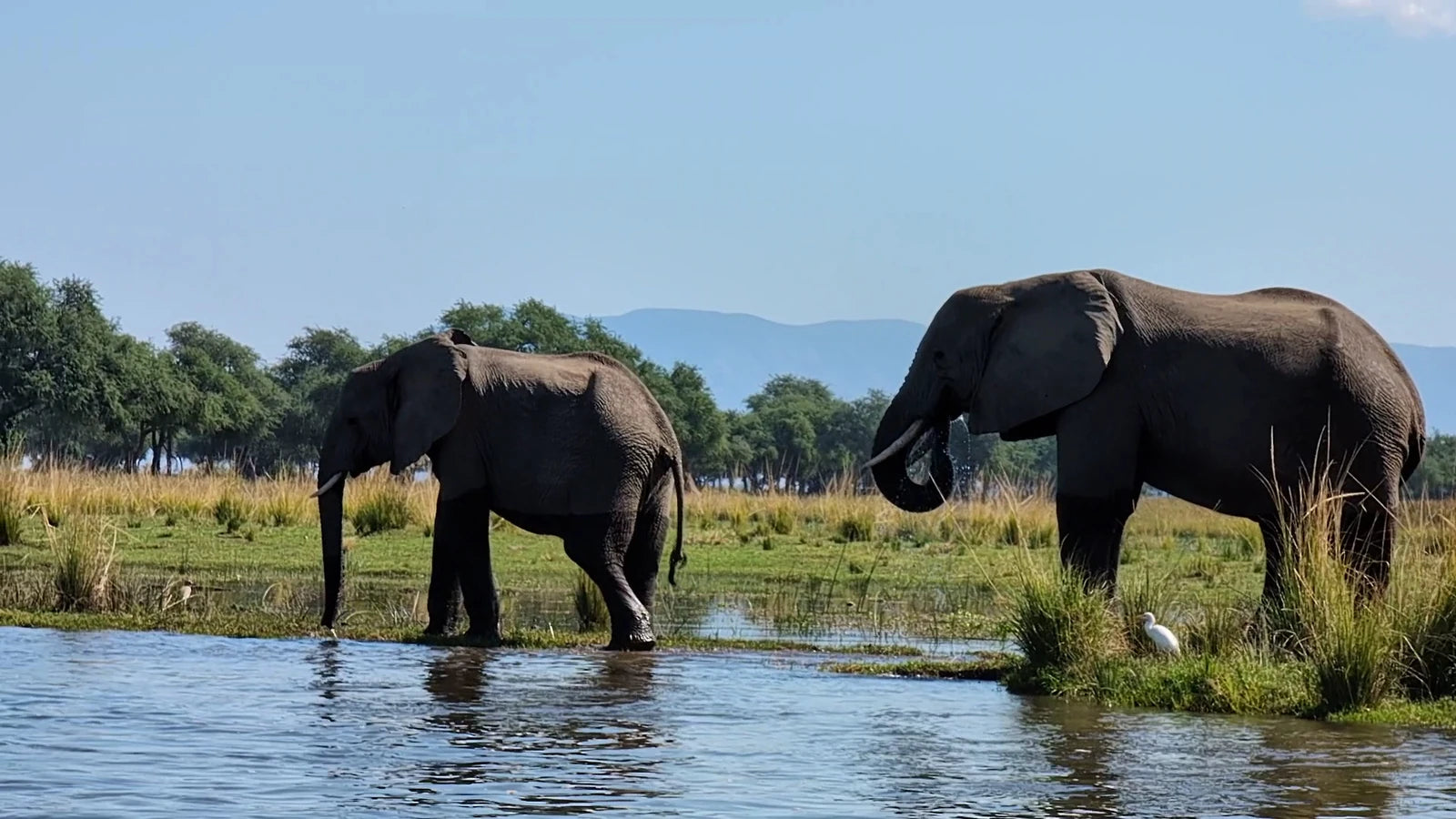 Lower Zambezi National Park,  Zambia