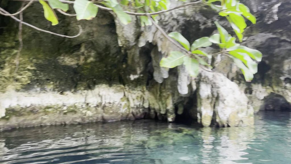 MAALUM CAVE, 
Paje Tanzania
