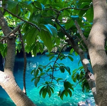 MAALUM CAVE, 
Paje Tanzania
