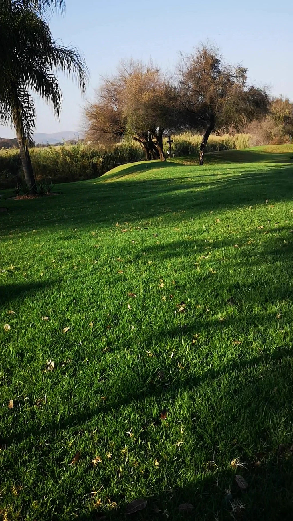 Machauka Lodge, Lephalale South Africa