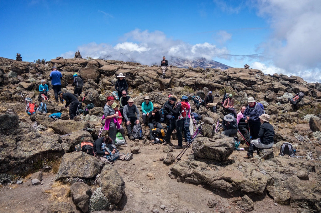 Macpace Tours & Safaris Ltd: Best African Safari Tour Company in Tanzania & Kilimanjaro Climbing Tour operator in Moshi, 25010 Tanzania