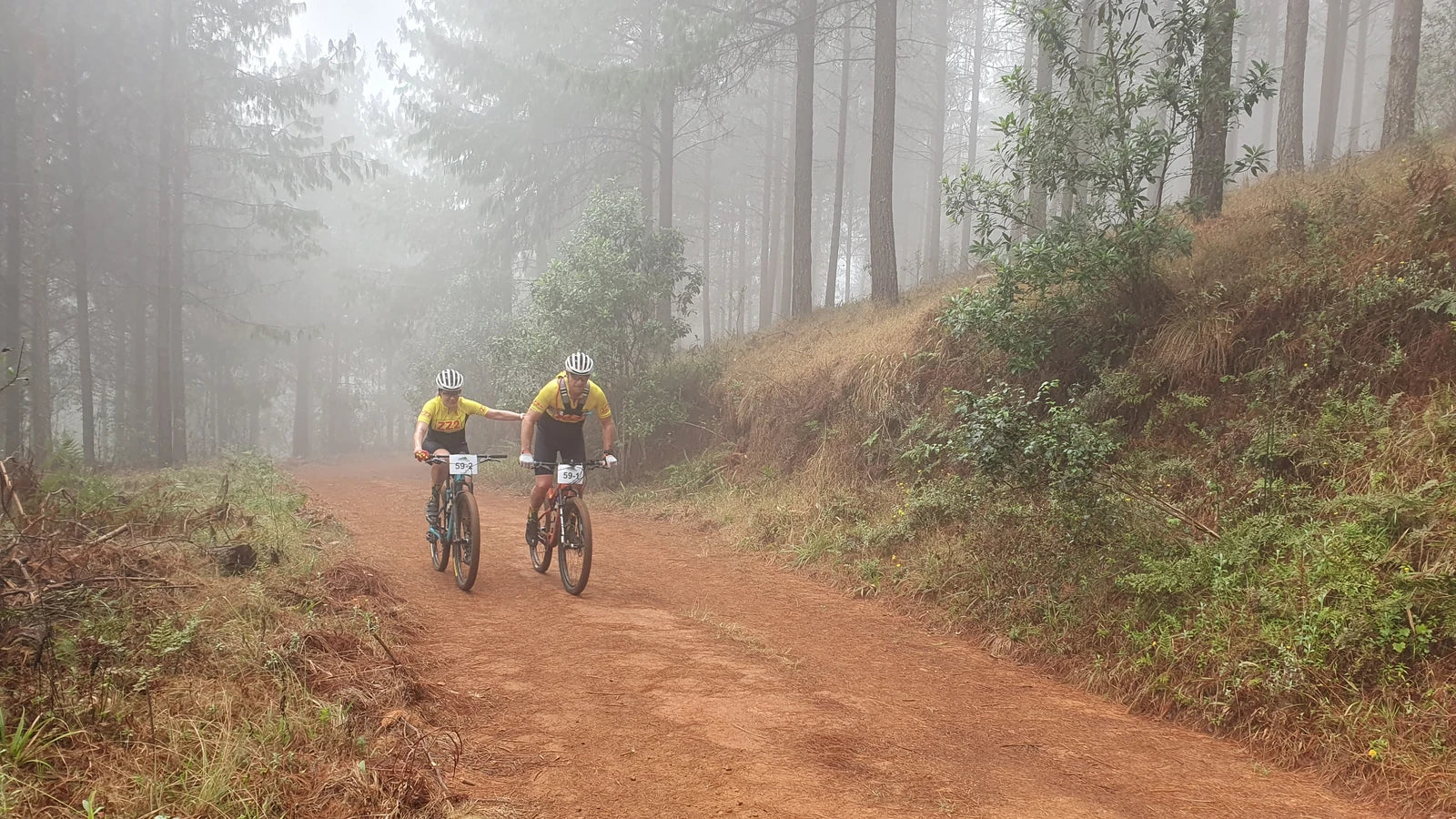 Magoebaskloof Canopy Tours, R528 South Africa