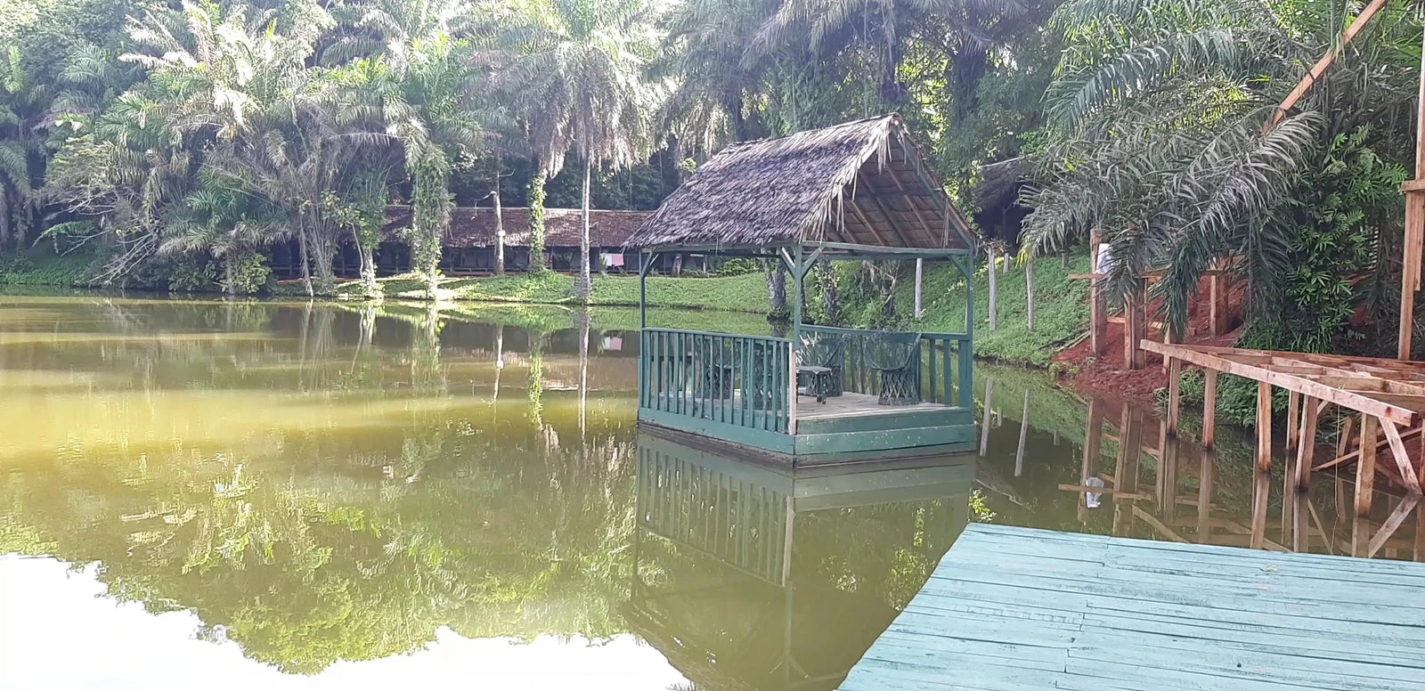 Magoroto Forest Estate, 
Magoroto Estate Tanga Tanzania