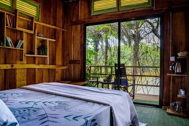Magoroto Forest Estate, 
Magoroto Estate Tanga Tanzania