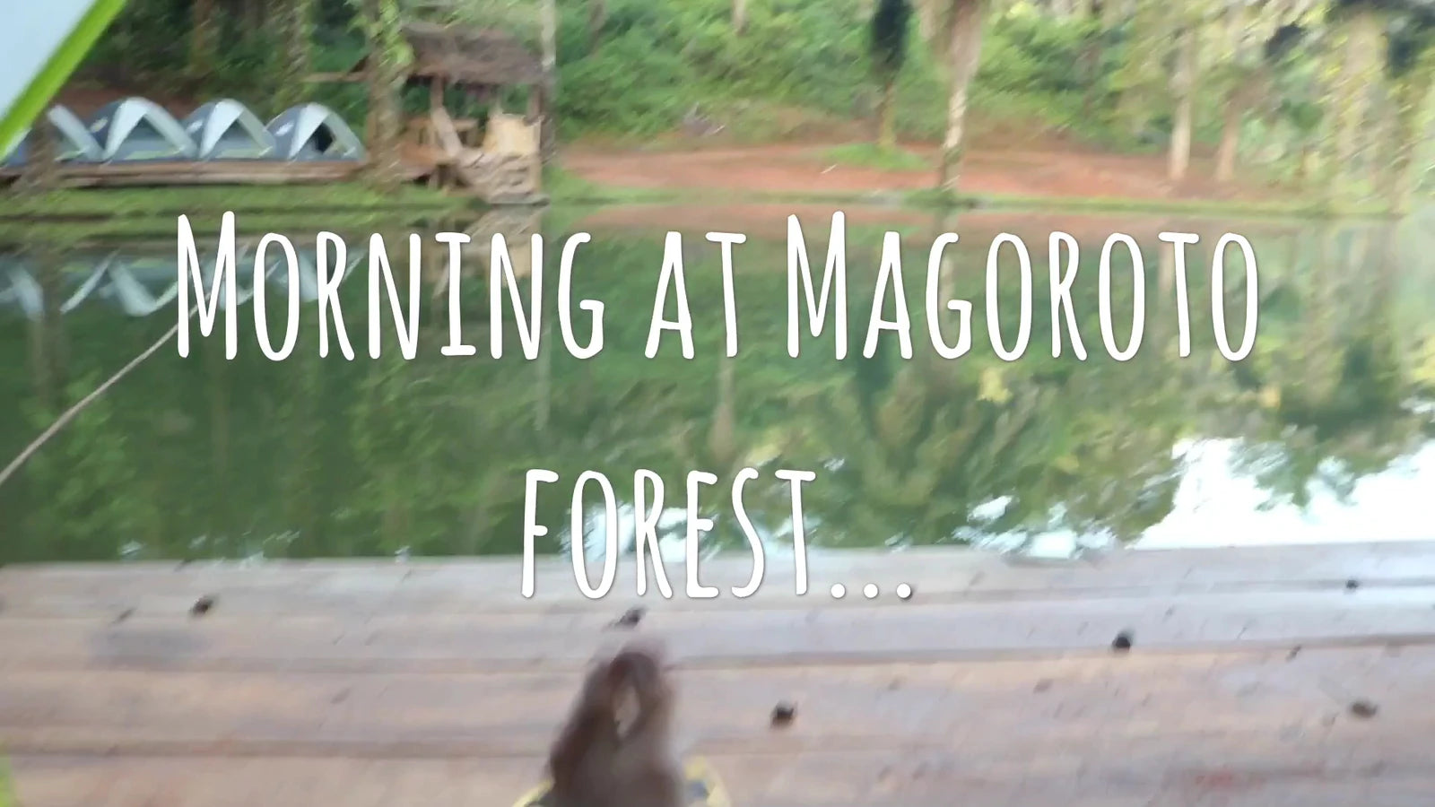 Magoroto Forest Estate, 
Magoroto Estate Tanga Tanzania