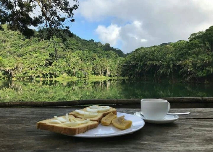 Magoroto Forest Estate, 
Magoroto Estate Tanga Tanzania