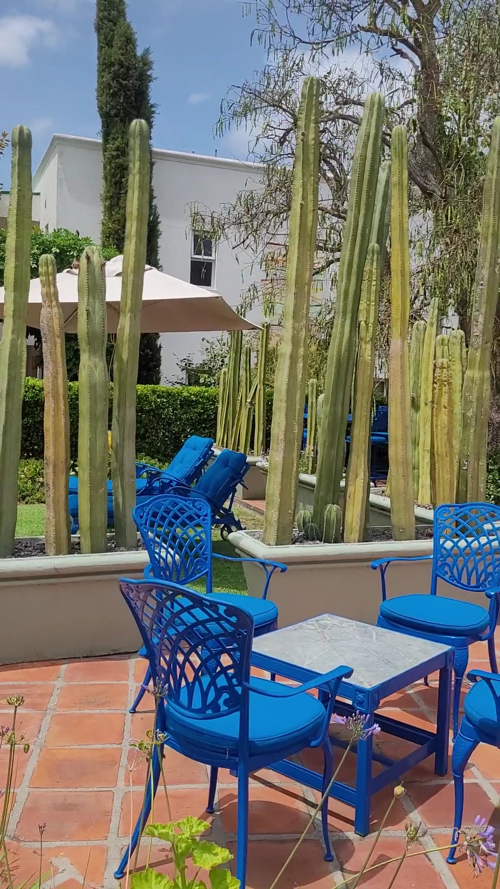 Majeka House Boutique Hotel, Stellenbosch South Africa