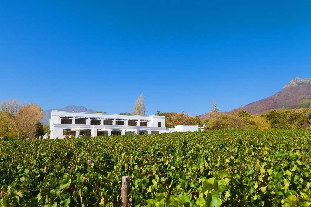 Mangwanani Winelands, Stellenbosch South Africa