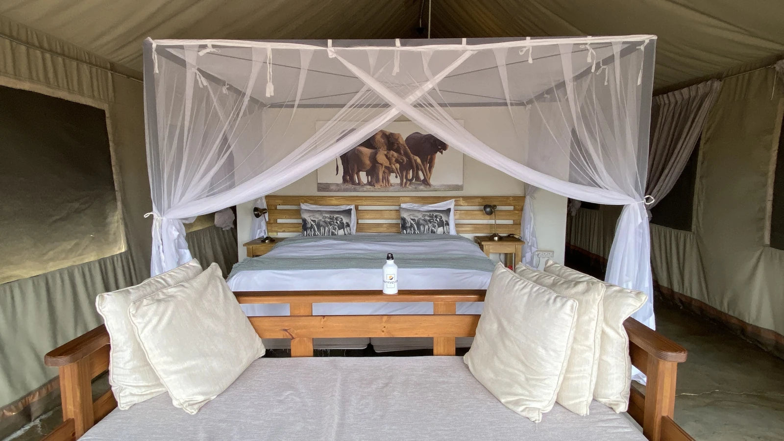 Manyeleti Game Reserve, 
Mpumalanga South Africa