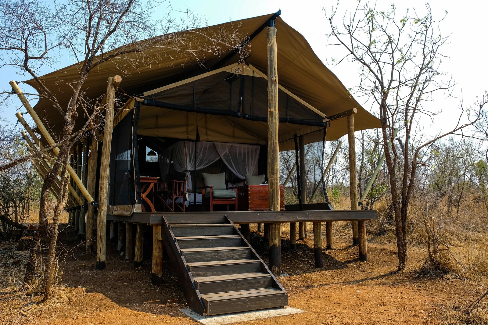 Manyeleti Game Reserve, 
Mpumalanga South Africa