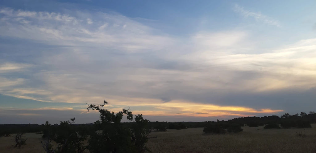 Mapungubwe National Park, 
Musina South Africa