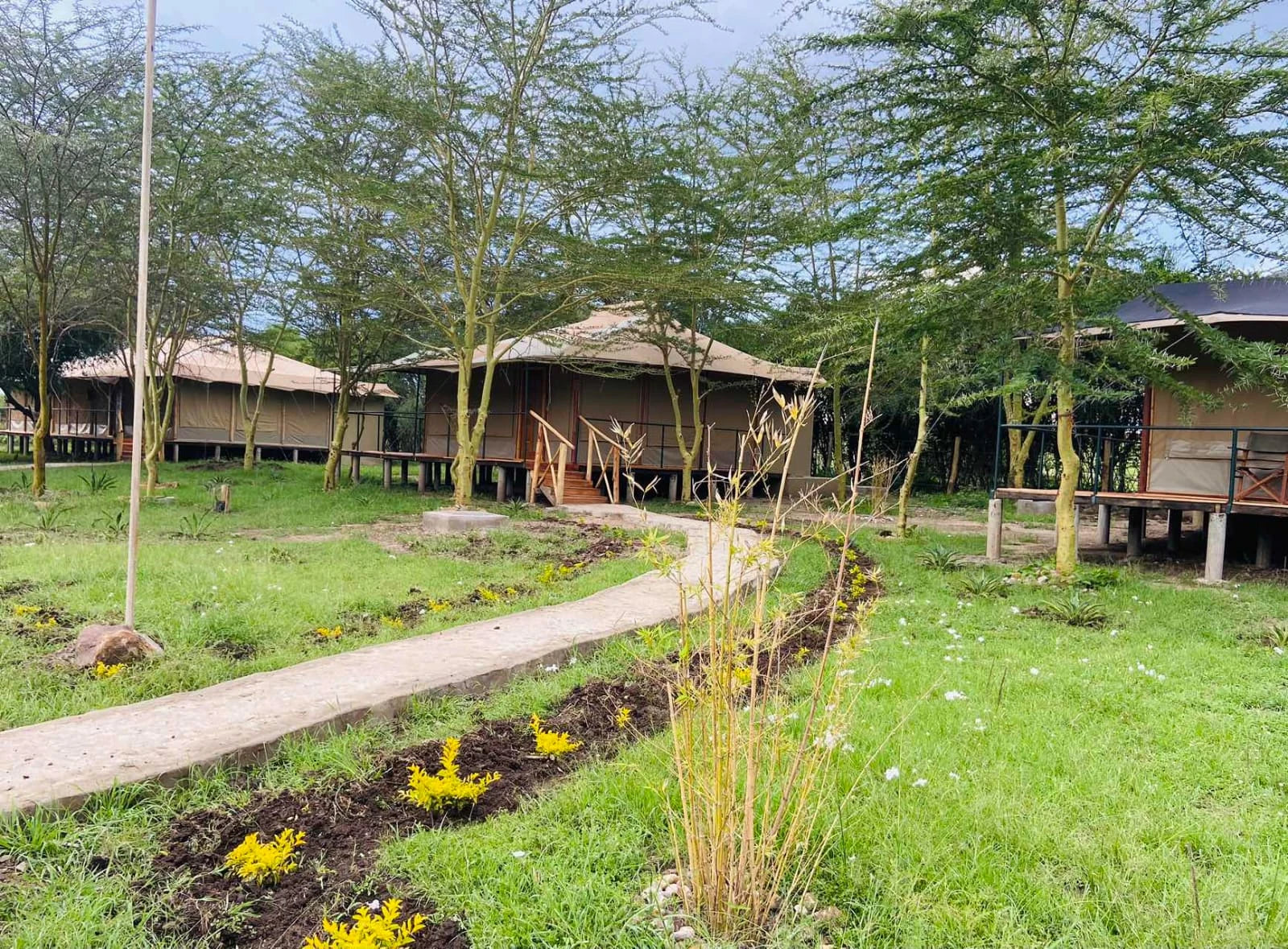 Mara Simba Lodge, Narok Kenya
