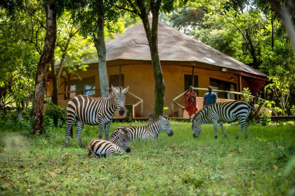 Mara Sopa Lodge, Ololaimutiek Village Kenya
