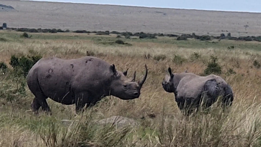 Mara Triangle,  Kenya
