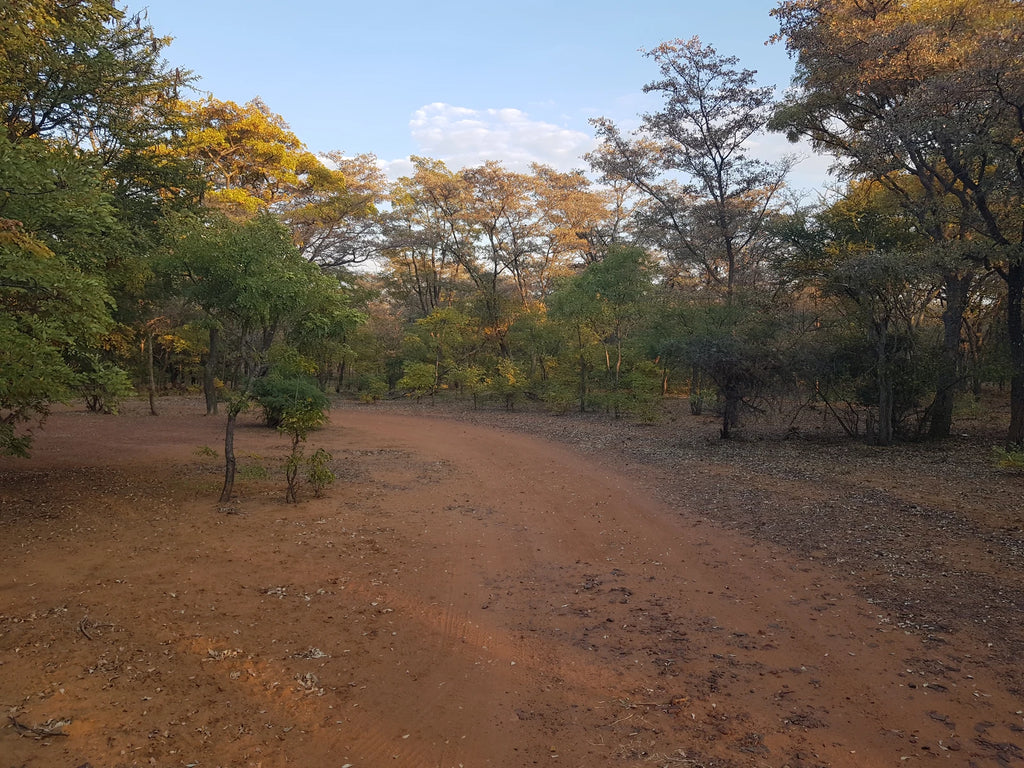 Marakele National Park, 
Waterberg mountain range South Africa