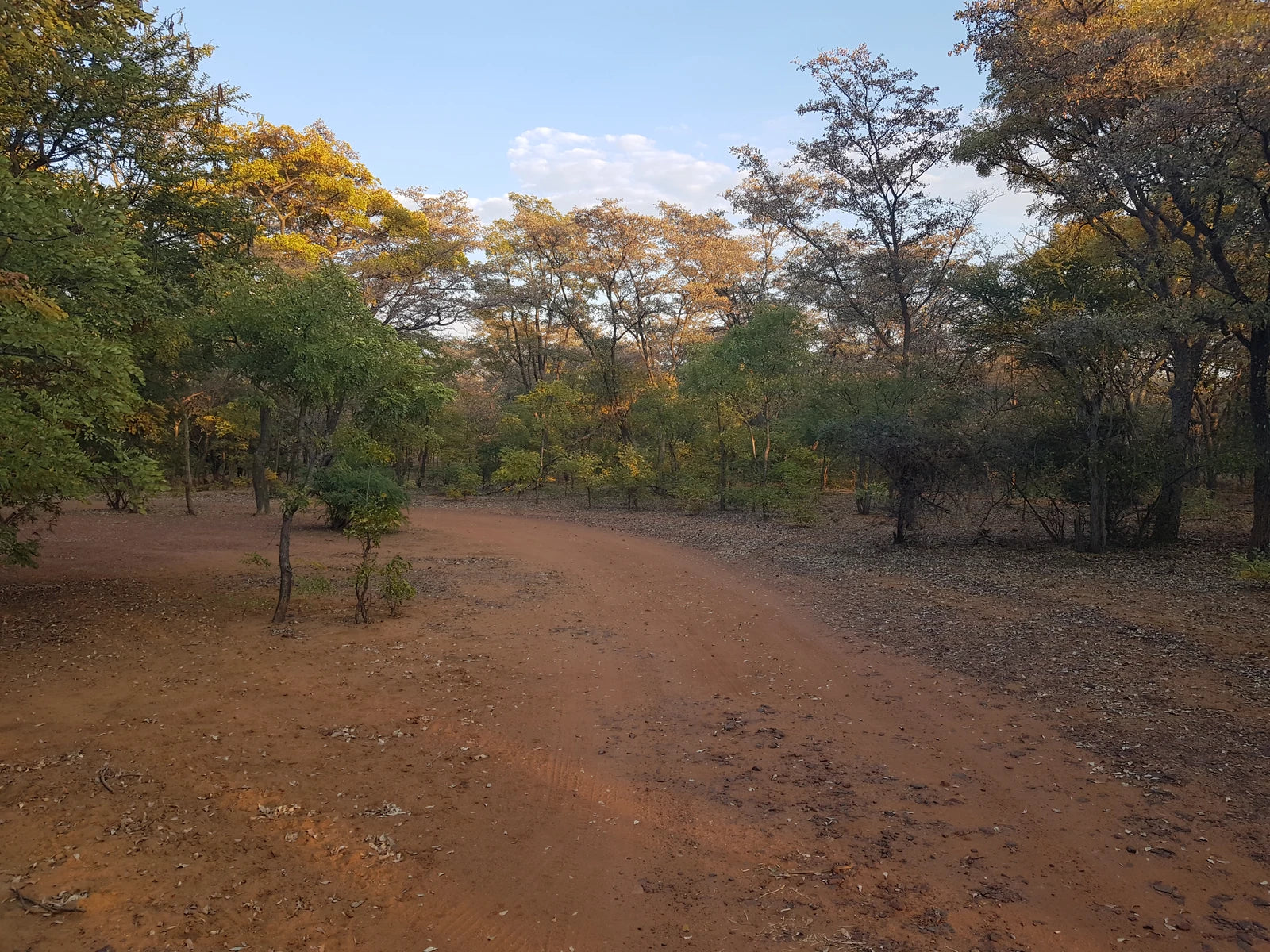 Marakele National Park, 
Waterberg mountain range South Africa