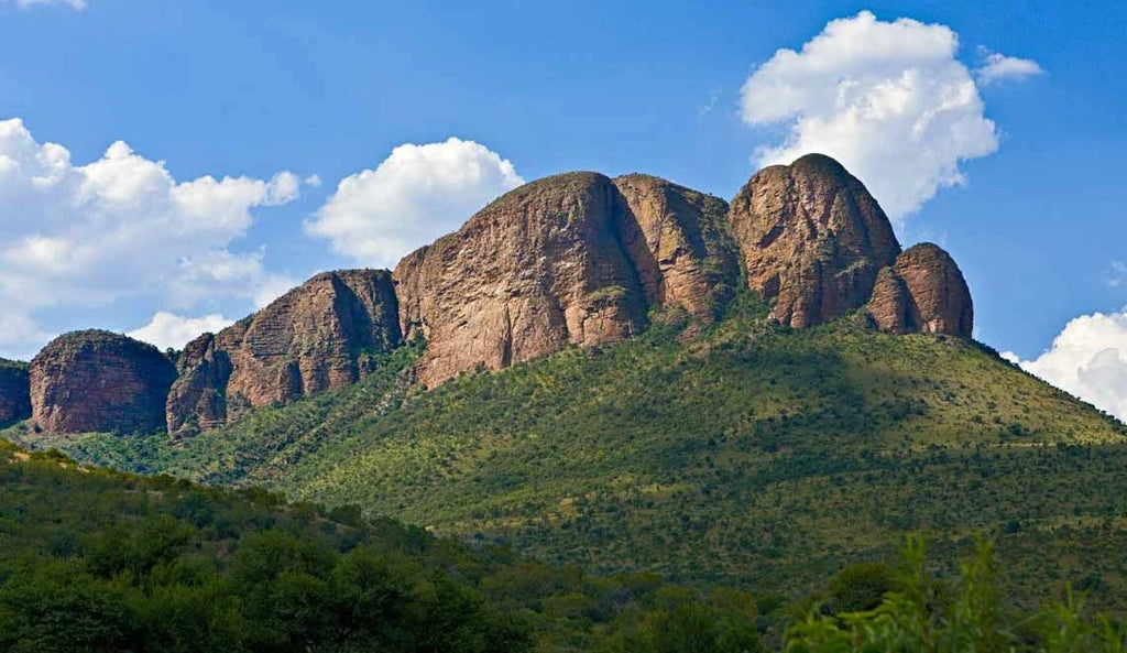 Marakele National Park, 
Waterberg mountain range South Africa