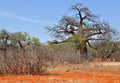 Maremani Nature Reserve, Beitbridge Zimbabwe