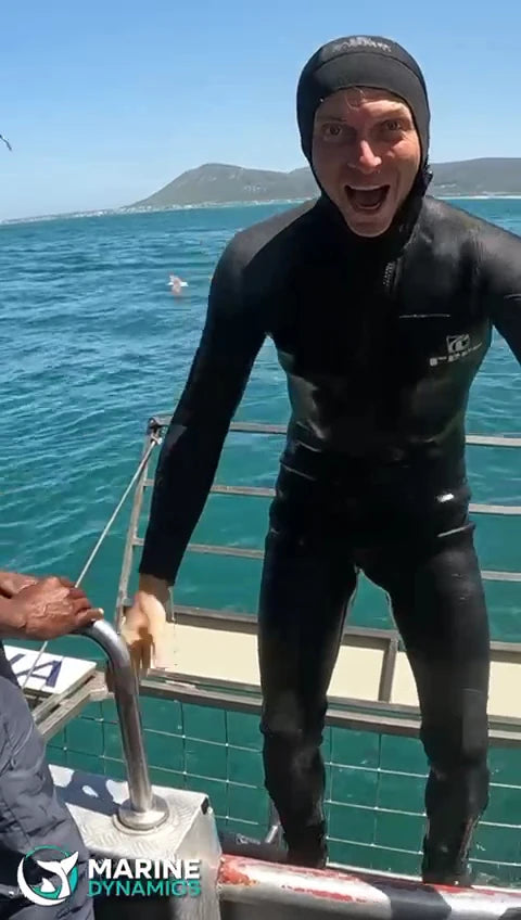 Marine Dynamics · Shark Tours · Shark Cage Dive, Gansbaai South Africa