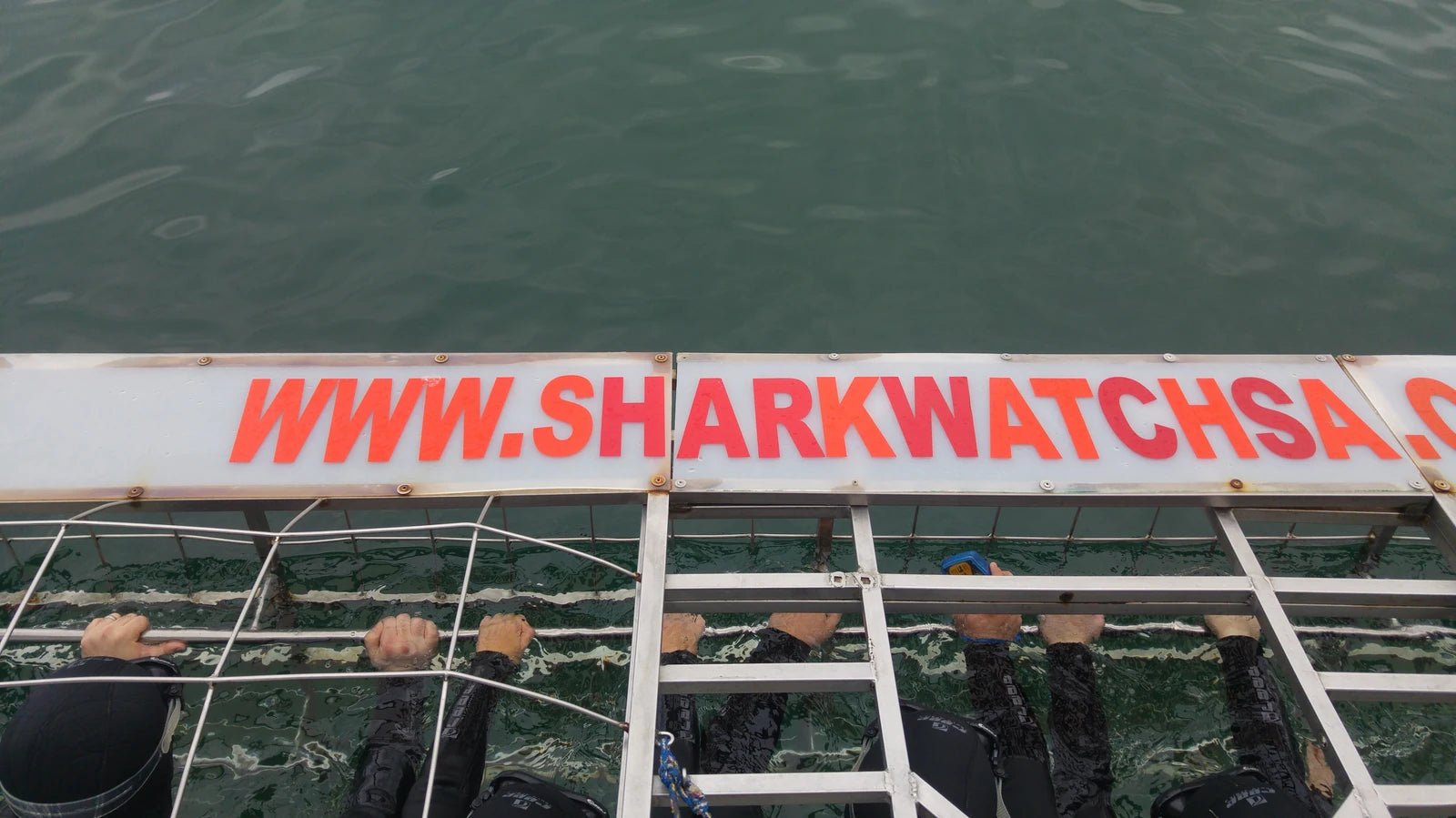 Marine Dynamics · Shark Tours · Shark Cage Dive, Gansbaai South Africa
