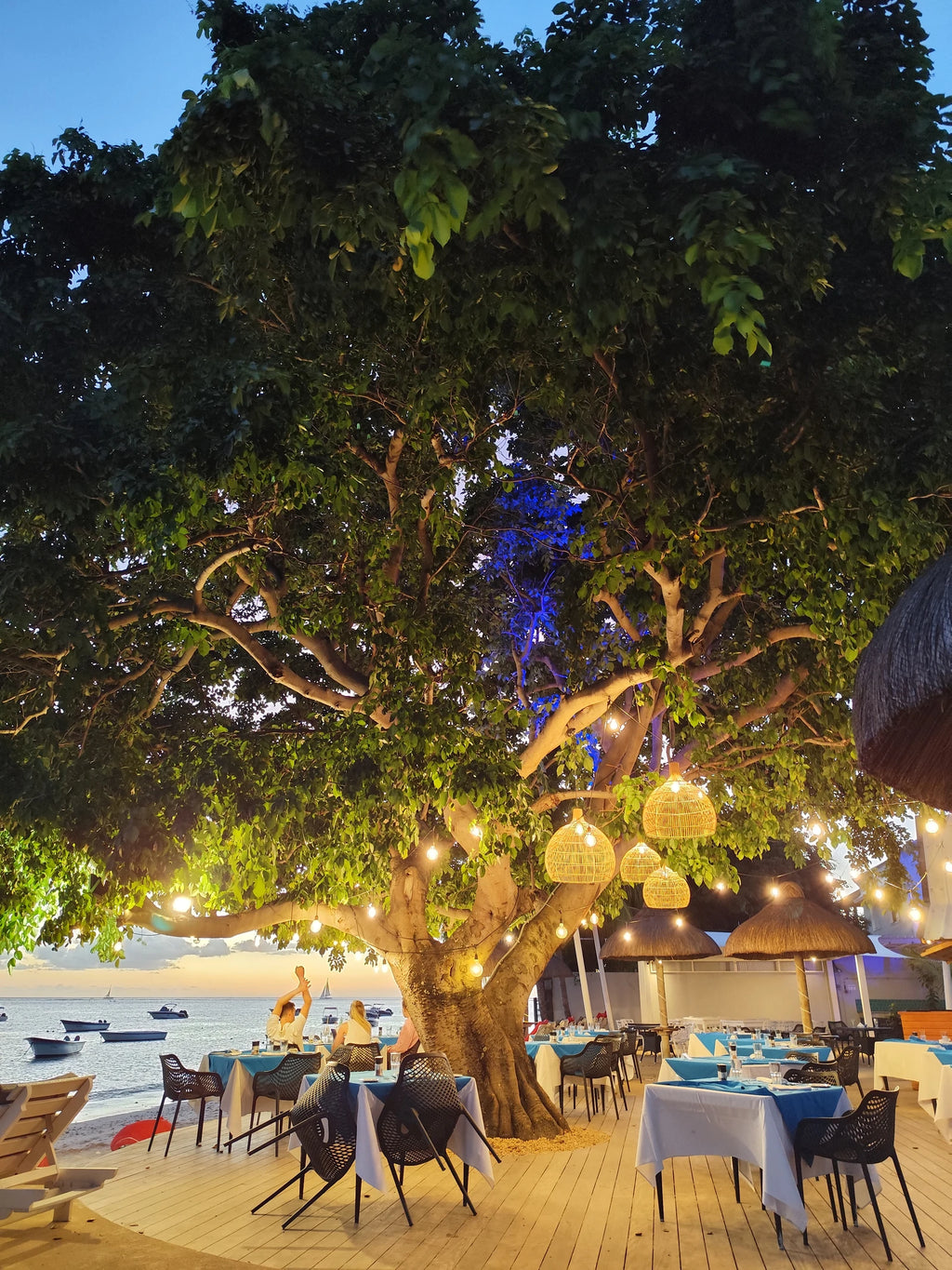 Mariposa, Grand Rivière Noir Mauritius